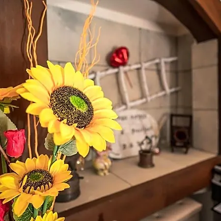 Il Borgo Antico Bed & Breakfast